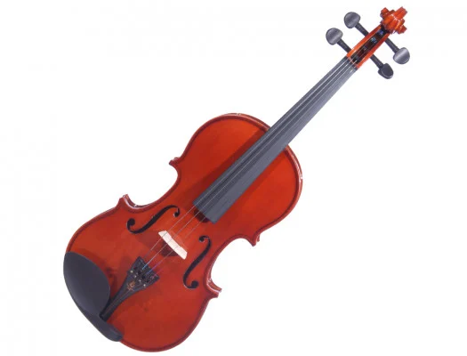 Buy Violins Online In India – All Sizes & Budgets | FSharp Music Store